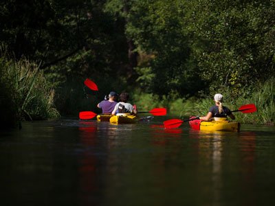 Galeria zdjęć ze spływu kajakowego rzeką Brdą