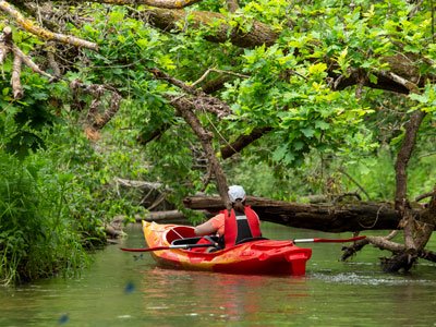 Galeria zdjęć ze spływu kajakowego rzeką Parsętą