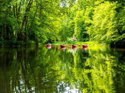 Galeria zdjęć ze spływu kajakowego rzeką Regą