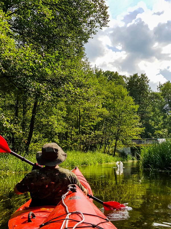 Spływ kajakowy Piłwą