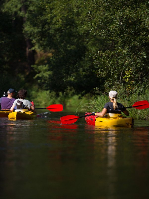 Spływ kajakowy Brdą