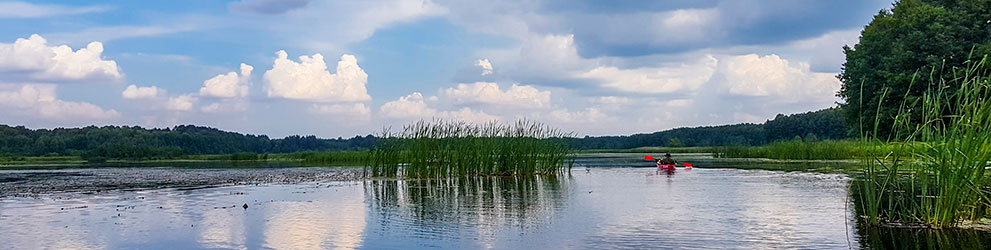 Rzeka Piława